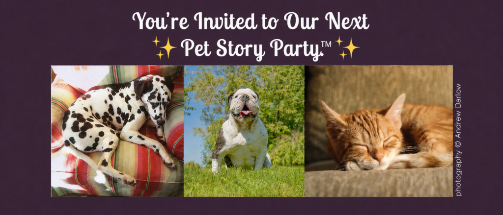 Join Andrew Darlow's free VIP newsletter